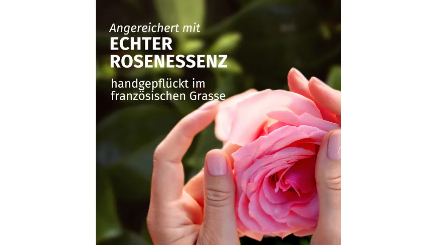 Herbal Essences blütensanft Rosenduft Pflegespülung 250 ml
