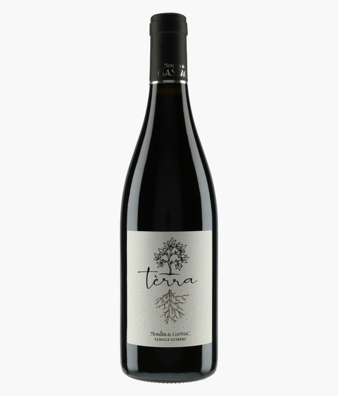 Terra rouge 2021MOULIN DE GASSAC
