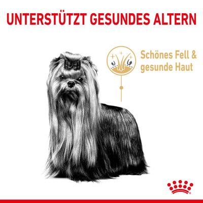 Royal Canin Yorkshire Terrier Adult 8+