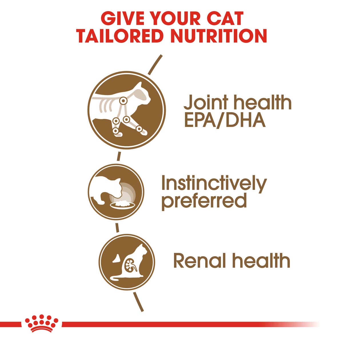 ROYAL CANIN AGEING 12+ in Soße Nassfutter für ältere Katzen