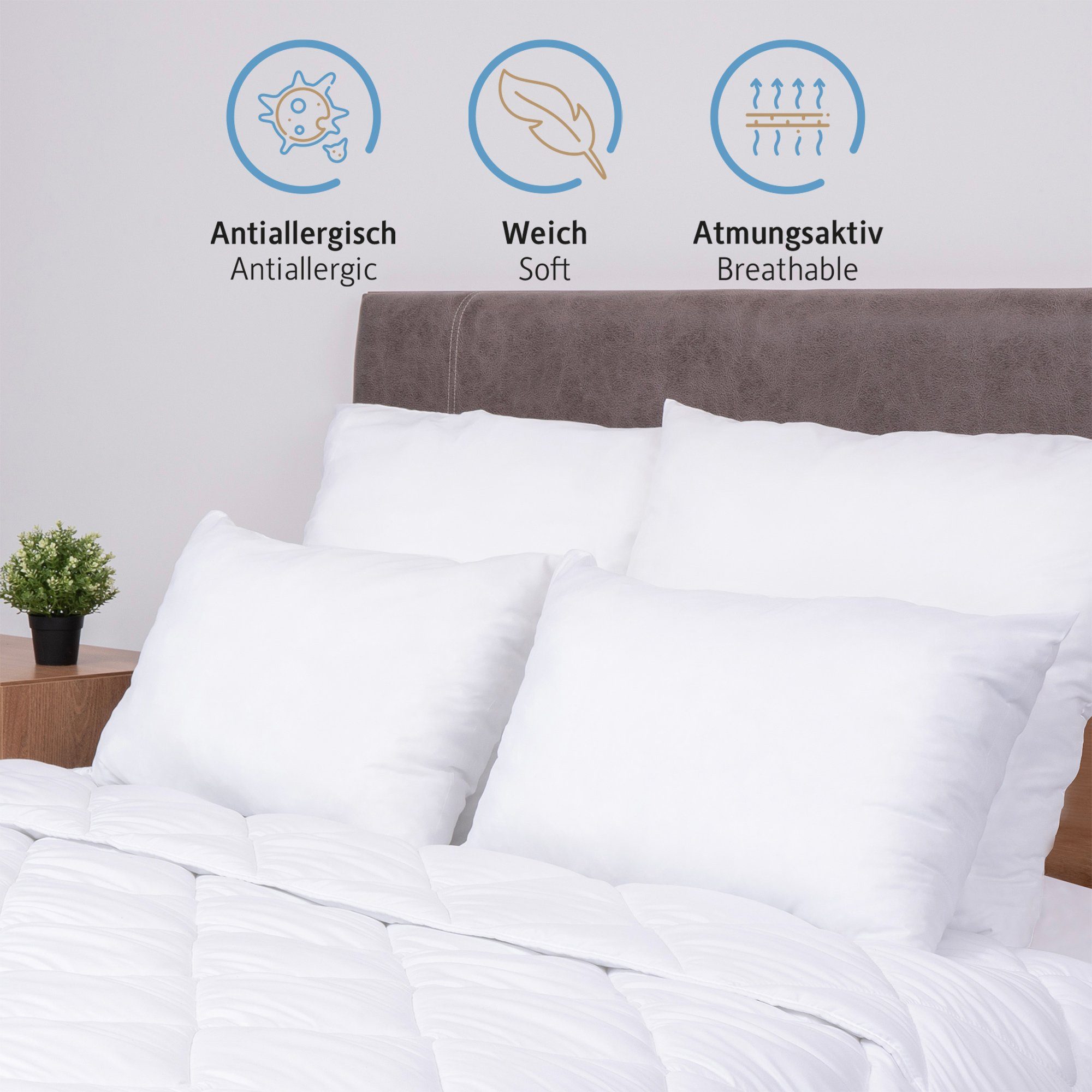 Microfaserkissen Kopfkissen, Kissenfüllung mit Bezug, Komfortec, Füllung: Mikrofaserkügelchen, Bezug: Mikrofaser, Spar-Set, 2-tlg., 40x40 cm, Kissen für Bett und Sofa, Dekokissen