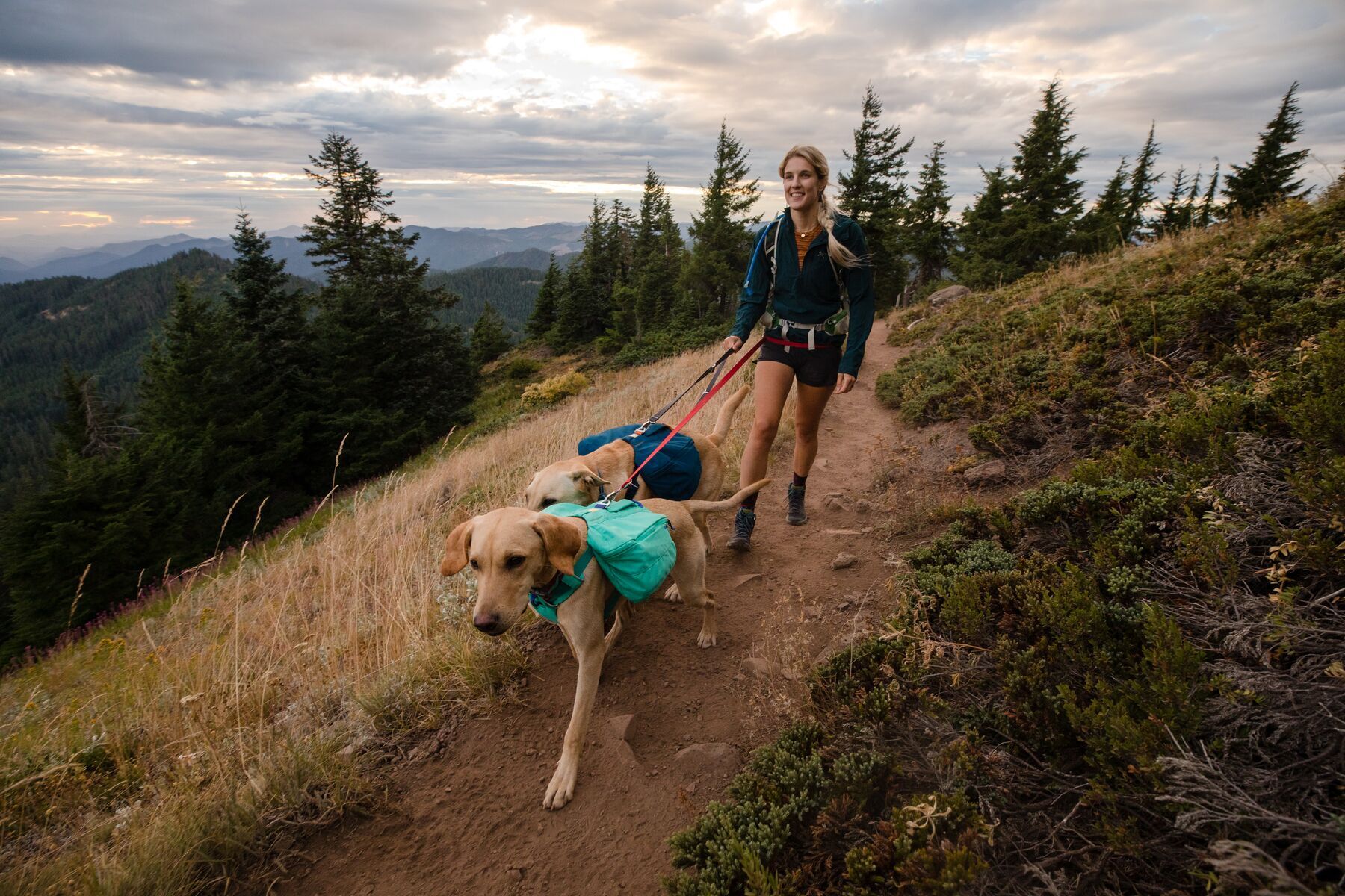 Ruffwear Hundeleinen Ruffwear Switchbak™ Leine grau