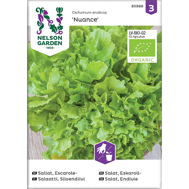 Nelson garden Frø Salat Eskaroll-, Nuance, organic