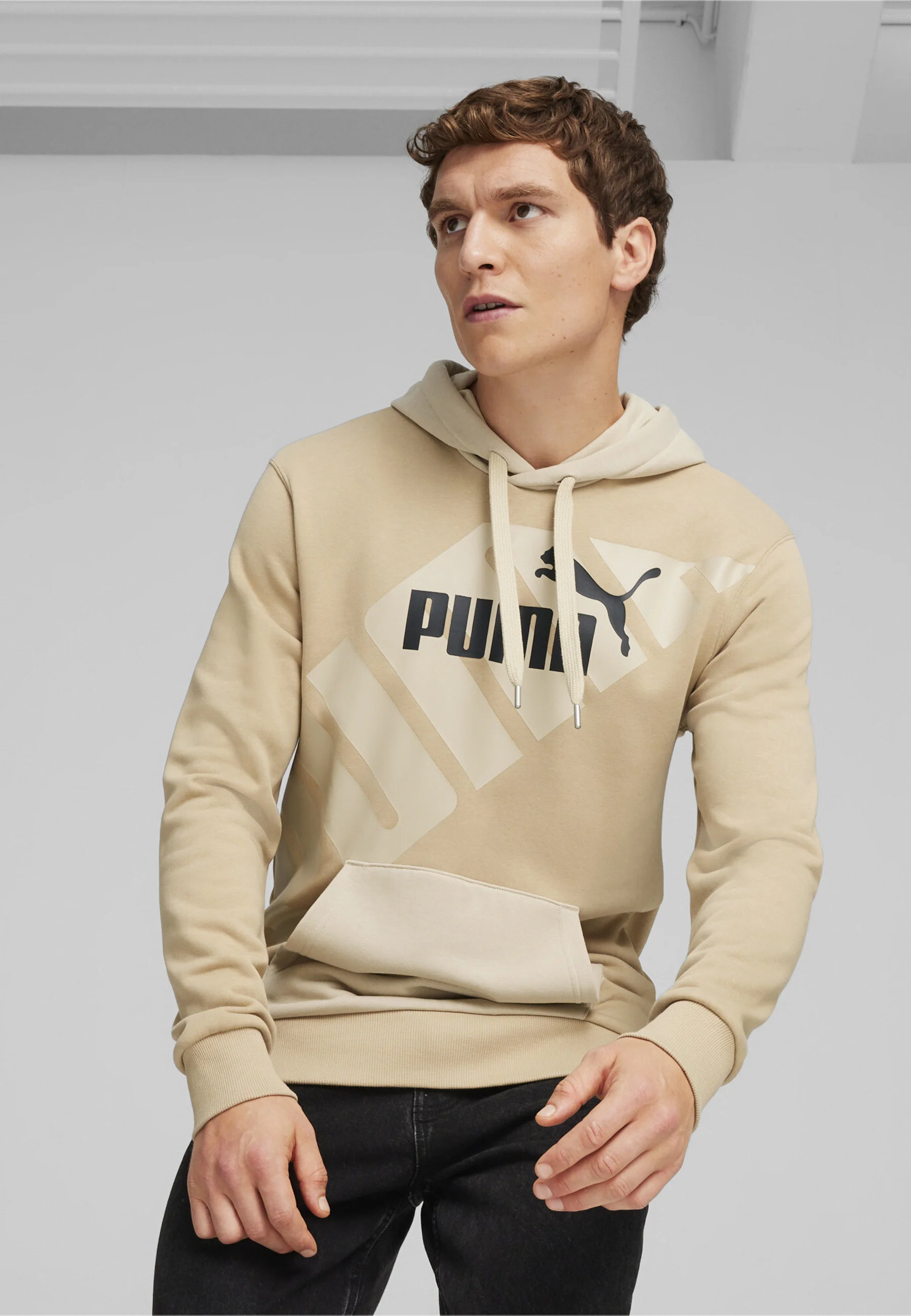 Sudadera con capucha Puma POWER GRAPHIC
