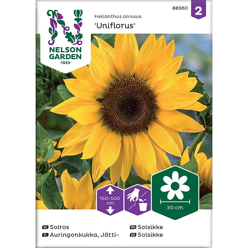 Nelson garden Frø Solsikke Kjempe-, gul