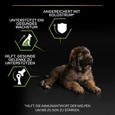 PURINA PRO PLAN Large Robust Puppy Healthy Start