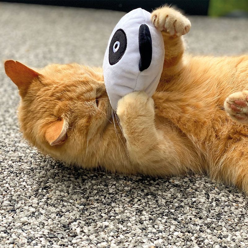 Aumüller Katzenspielkissen Panda Qi zu TOP-Preisen
