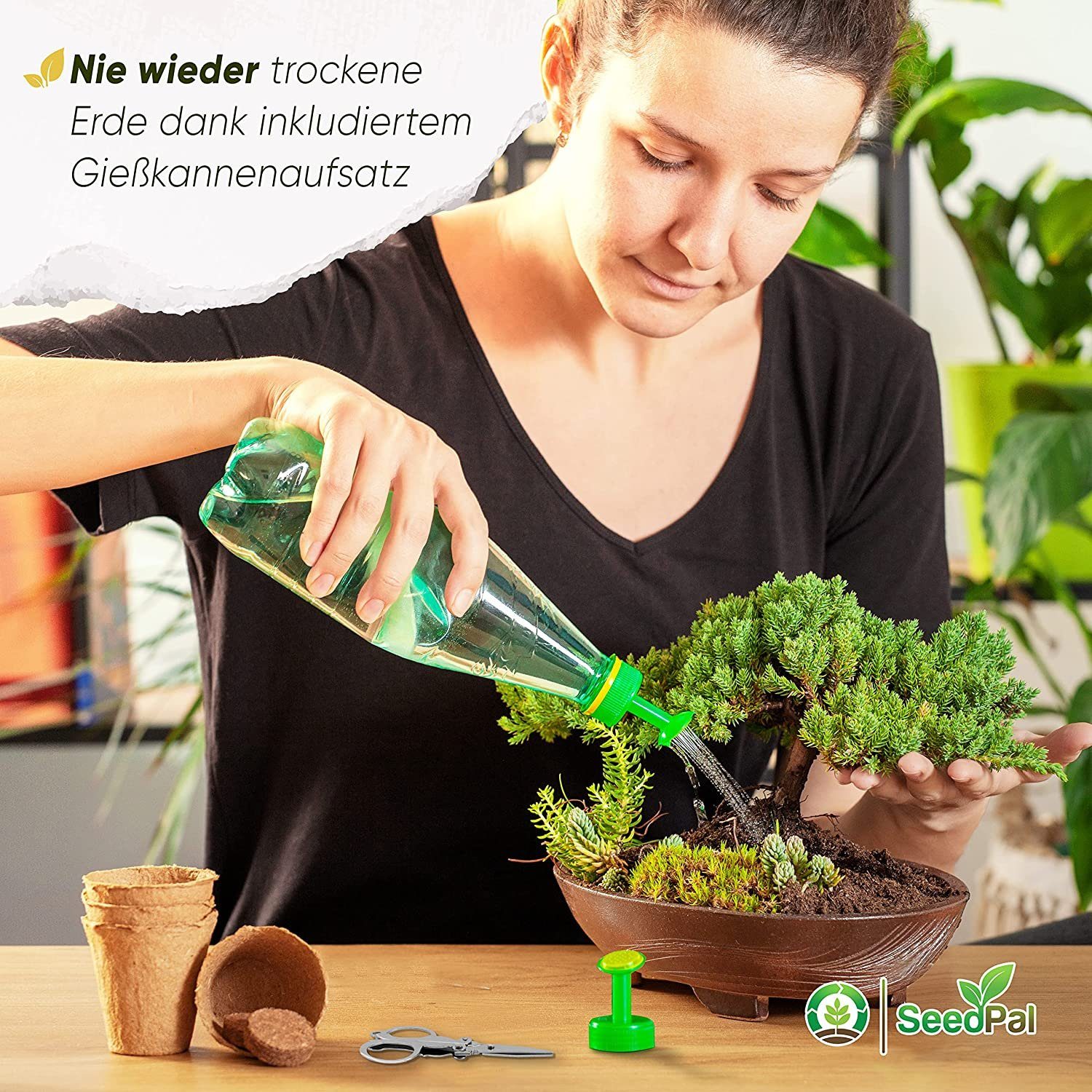 Kunstbonsai Easy Bonsai Starter Kit - Bonsai Anzuchtset 4 versch. Bonsai Samen Bonsaisamen, SeedPal, In Zusammenarbeit mit der niederbayrischen Lebenshilfe