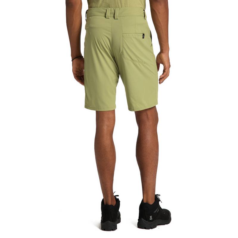 Haglfs Lite Standard Shorts Funktionsshorts Herren