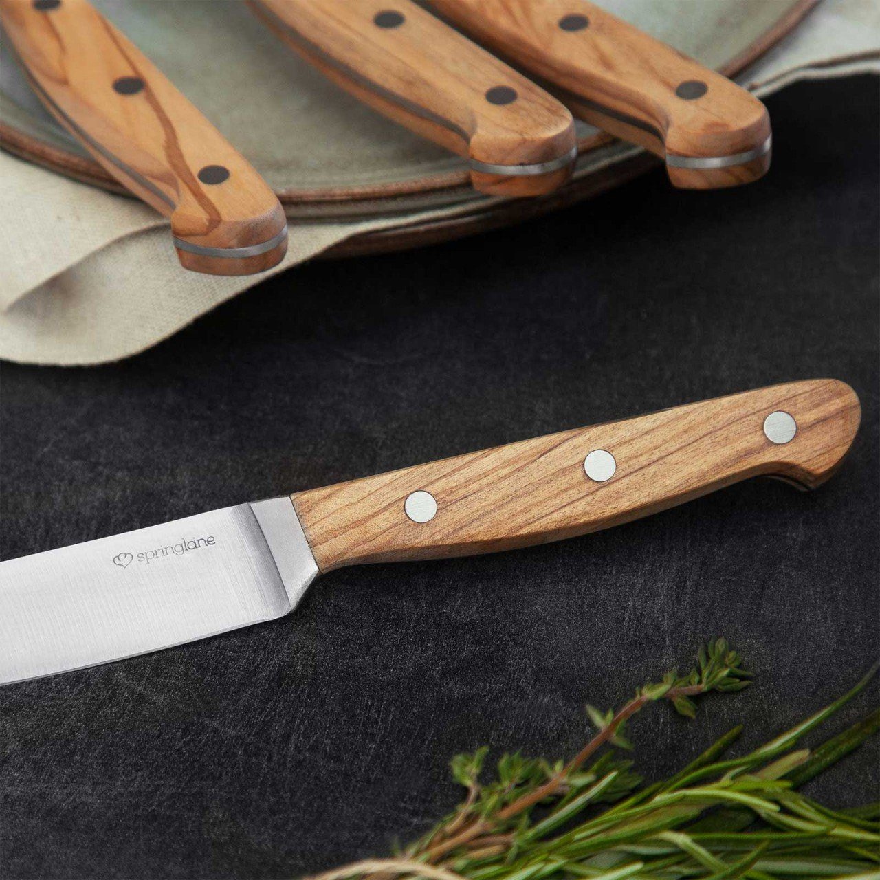 Springlane Steakmesser Steakmesserset Stan 4 teilig (4 Stück)