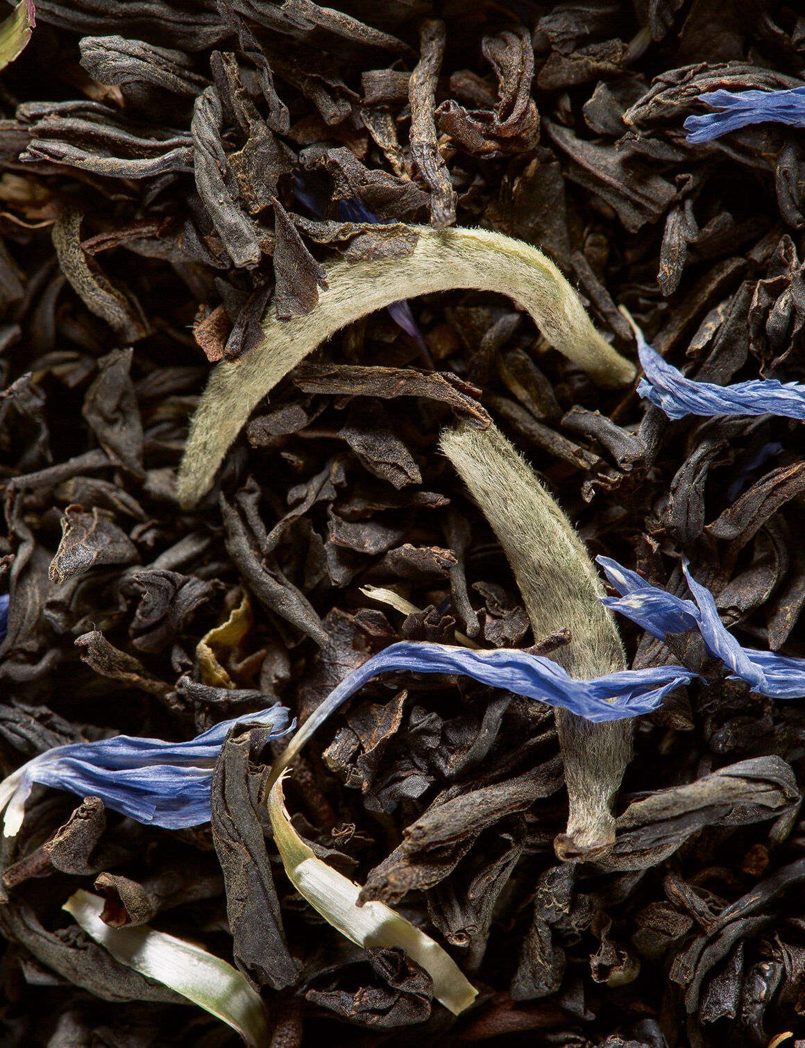 Earl Grey Yin Zhen-24 sachets enveloppés