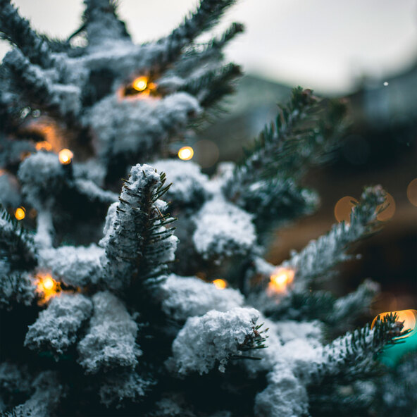 Smart-Home Tannenbaum-Lichterkette, 300 LEDs, warmweiß
