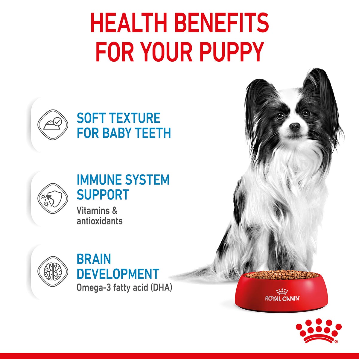 Royal Canin SHN X-Small Puppy Gravy günstig kaufen bei ZooRoyal