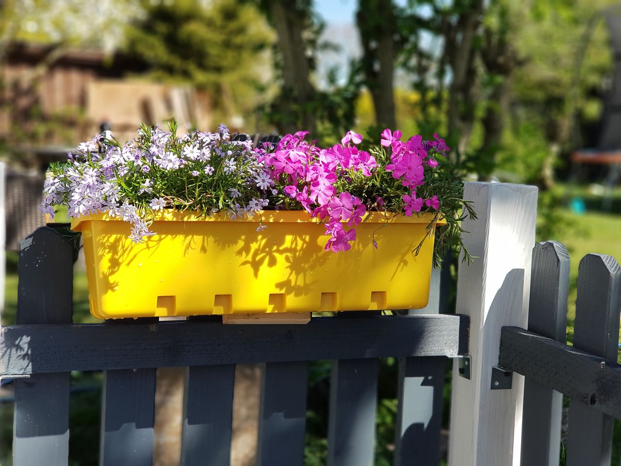 GreenLife Blumen- / Kräuterbox 3 Stück, anthrazit, komplett