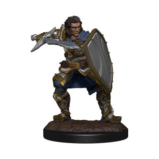 D&D Nolzur's Marvelous Miniatures - Human Paladin Male