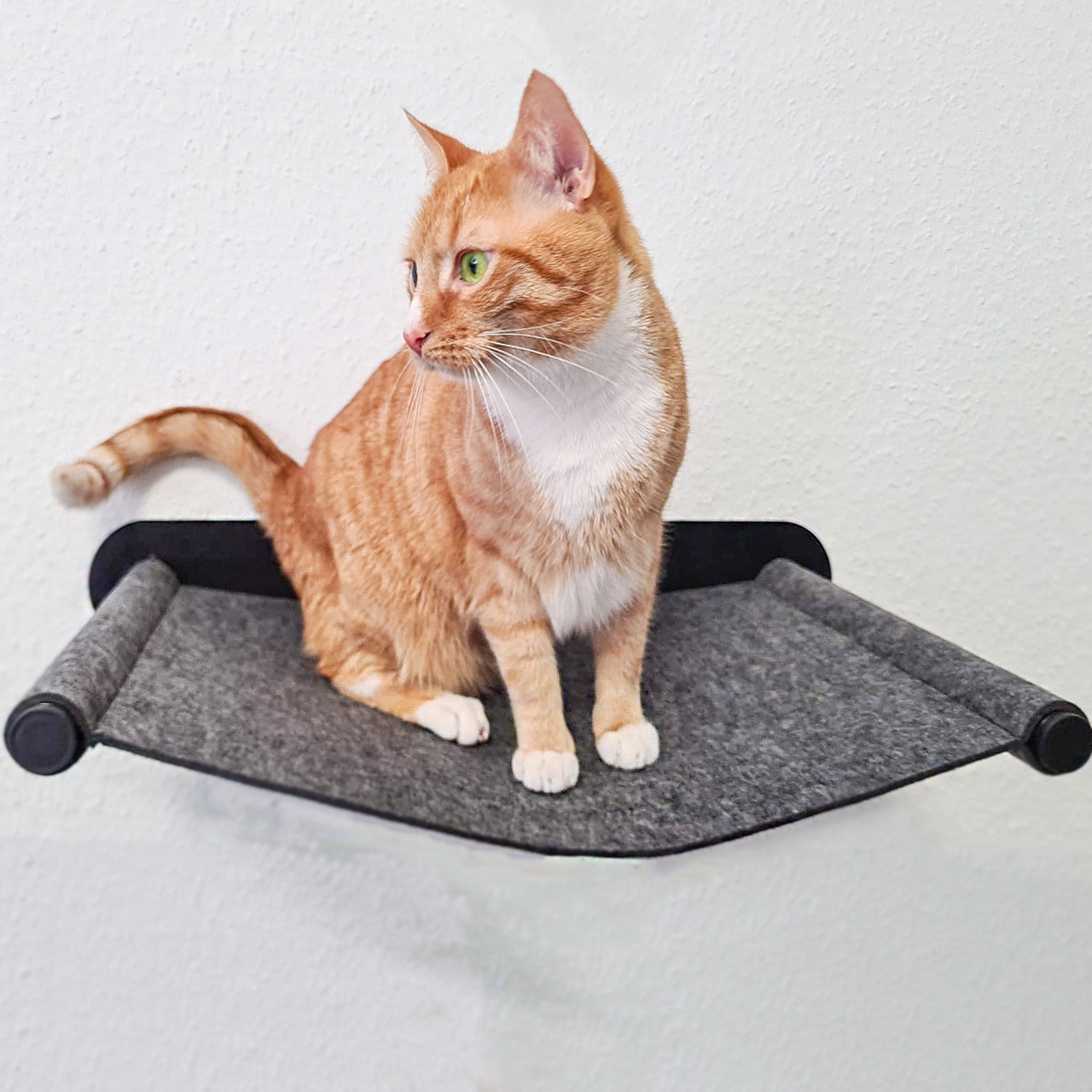 Canadian Cat Company Katzenbetten & Katzensofas Canadian Cat Company Filz-Hängematte für die Wand