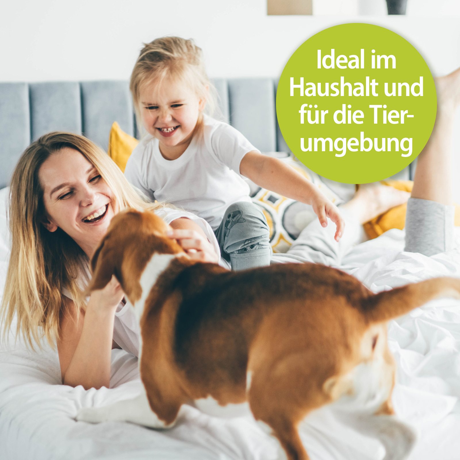 Bactador Reinigungsmittel & -geräte Bactador Geruchsentferner Konzentrat 5L