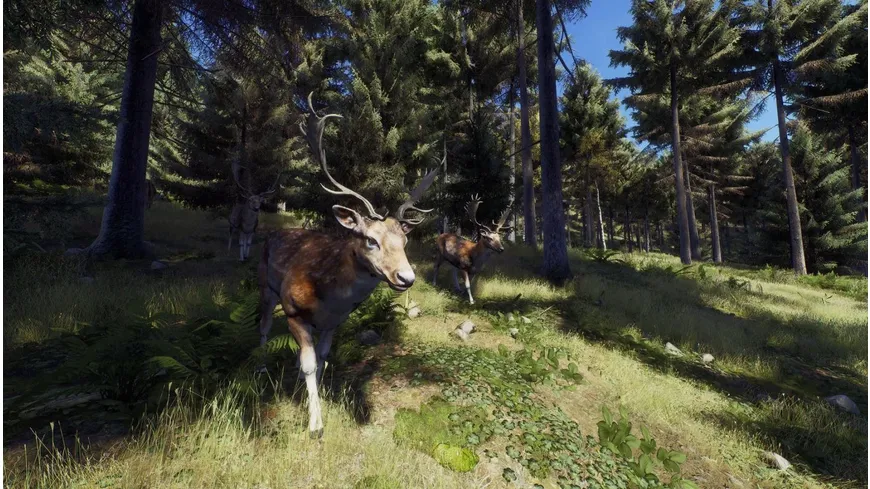 Way of the Hunter - Hunting Season One