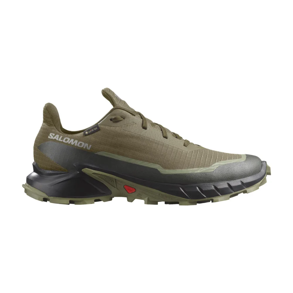 Salomon ALPHACROSS 5 GTX L47310300 / grün
