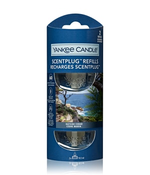 Yankee Candle Bayside Cedar New Scent Plug Refill Raumduft-37 ml