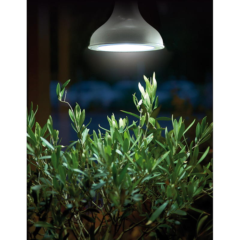 Nelson garden Plantelys 18 W LED-pære