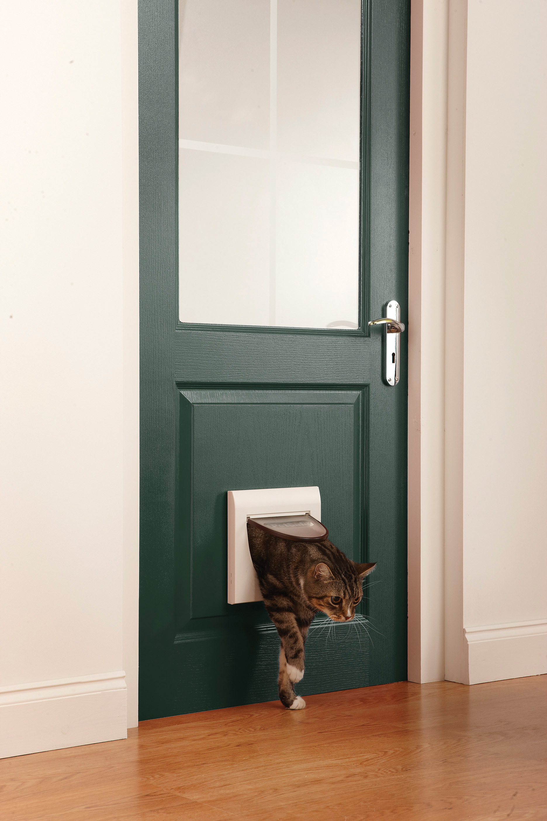 PetSafe Klappen & Türen PetSafe Staywell Klassik Manuelle Katzenklappe
