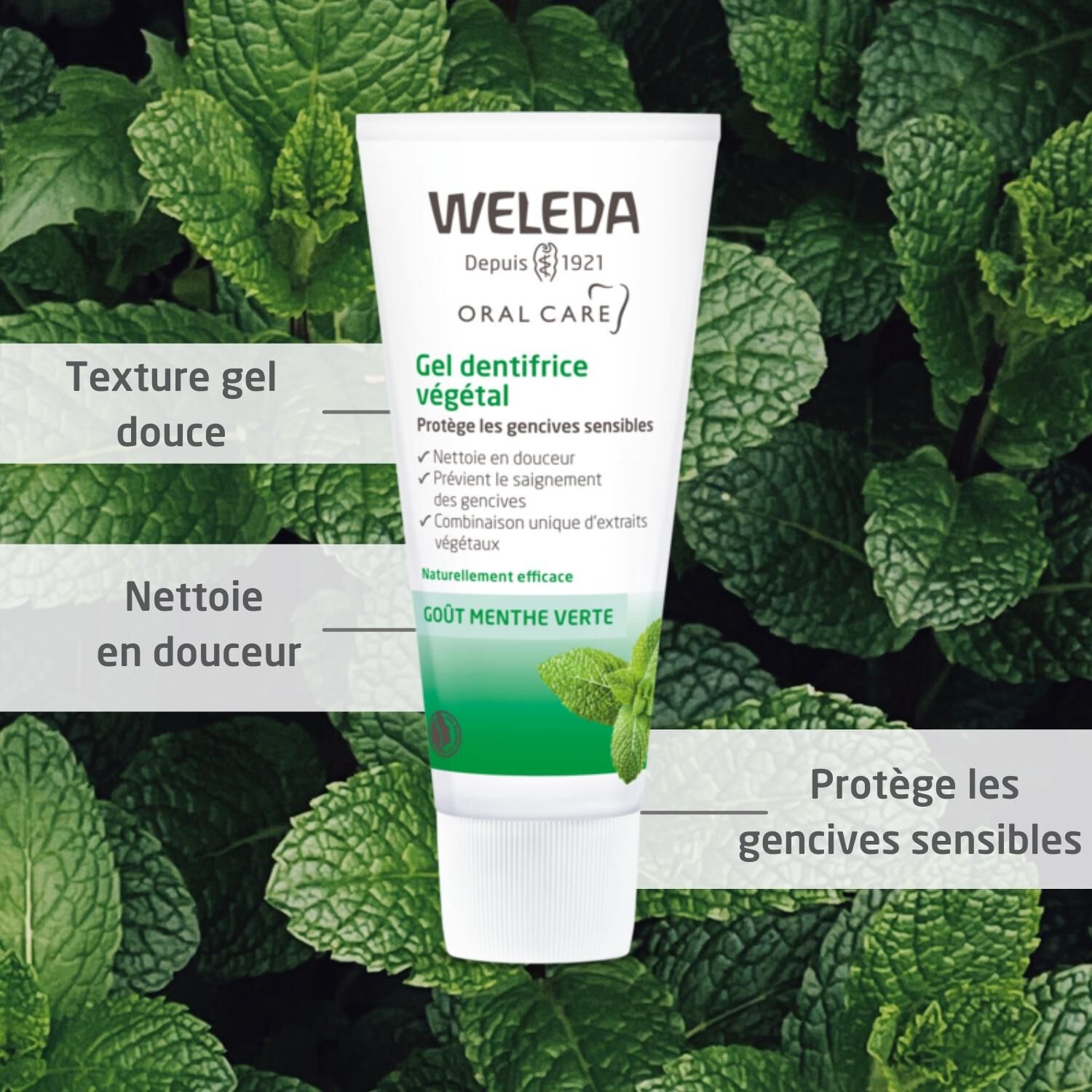 Weleda Menthe Verte Soin Bucco-Dentaire Gel Dentifrice Végétal Lot de 2 x 75ml