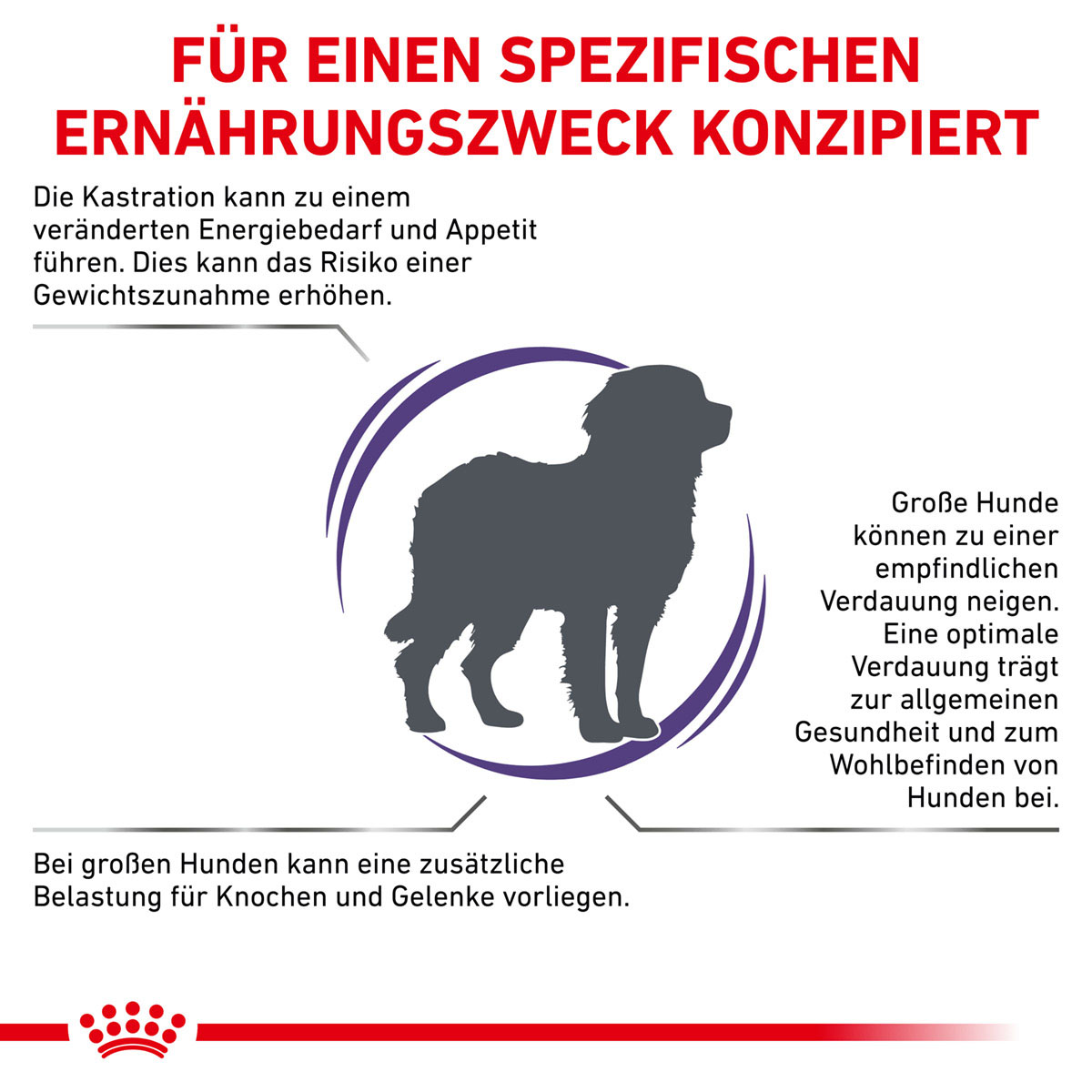 ROYAL CANIN Expert NEUTERED ADULT LARGE DOGS Trockenfutter für Hunde