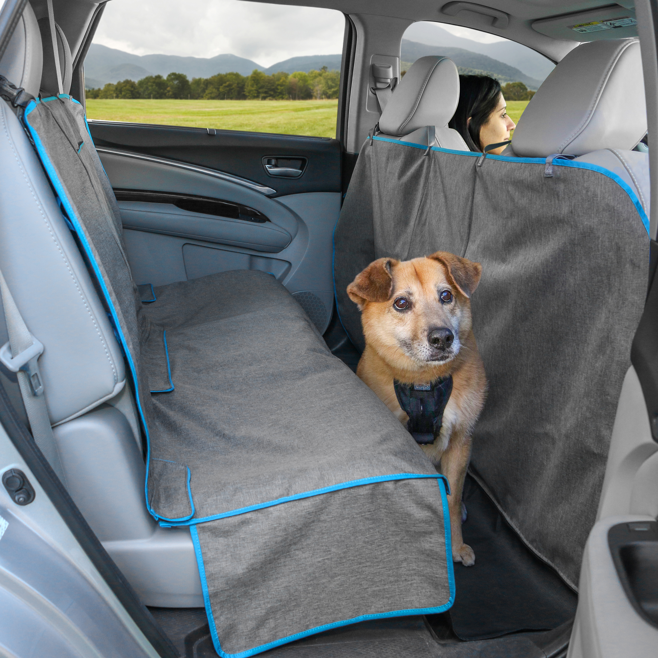 Kurgo Autozubehör Kurgo Coast to Coast Auto-Hängematte für Hunde, Grau