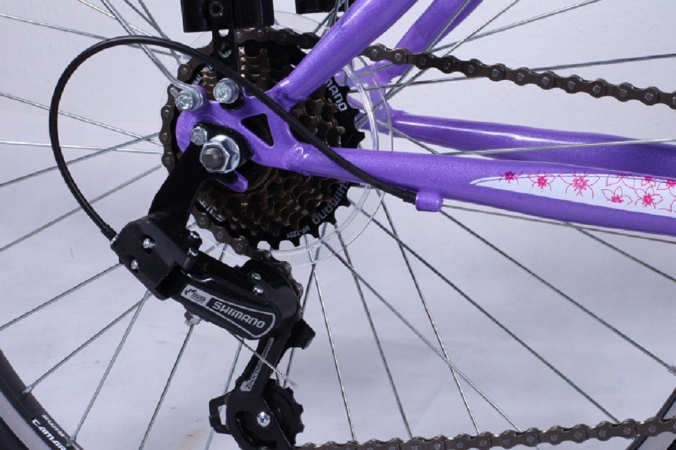Talson Kinderfahrrad 24 Zoll Cityrad, 21 Gang Shimano, Kettenschaltung, mit Beleuchtung nach StVZO und Gepäckträger Lila