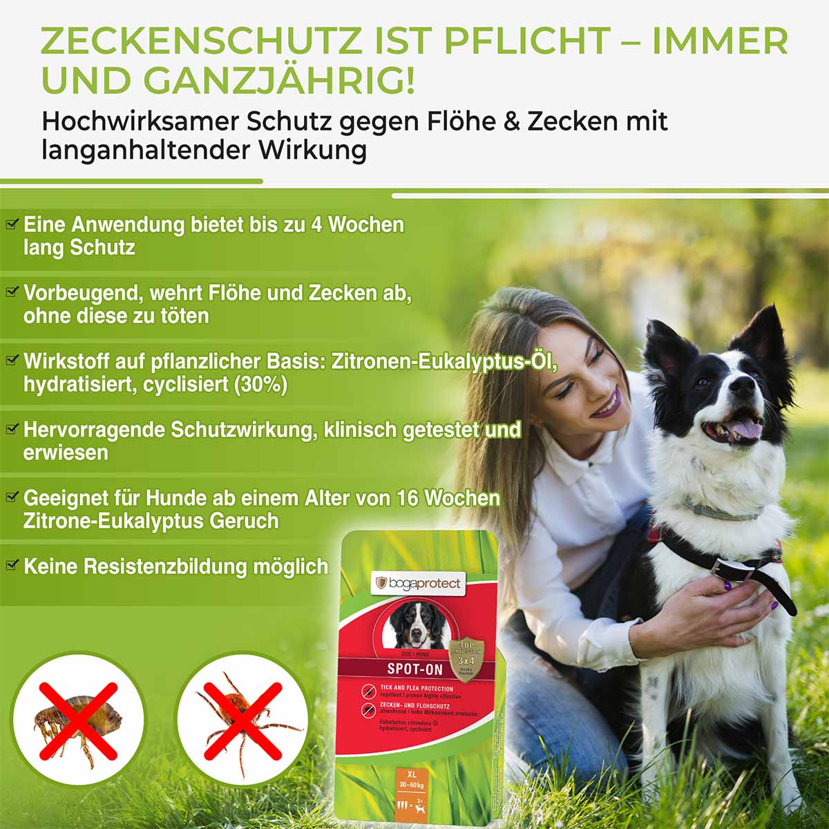 bogaprotect Spot-On Hund günstig kaufen bei ZooRoyal