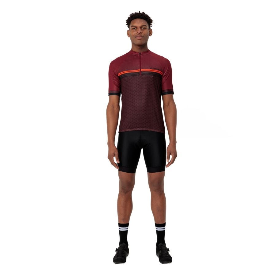 Posta Half-Zip II Fahrrad Trikot Herren