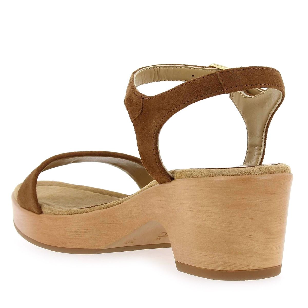 Unisa  IRITA - Camel