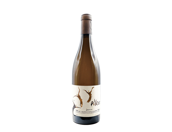Clos de L’ecotard Michel et Thibaud Chevré les Pentes 2016 Loire Saumur