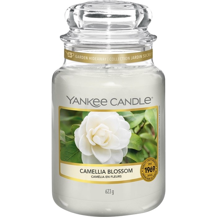 Camellia Blossom