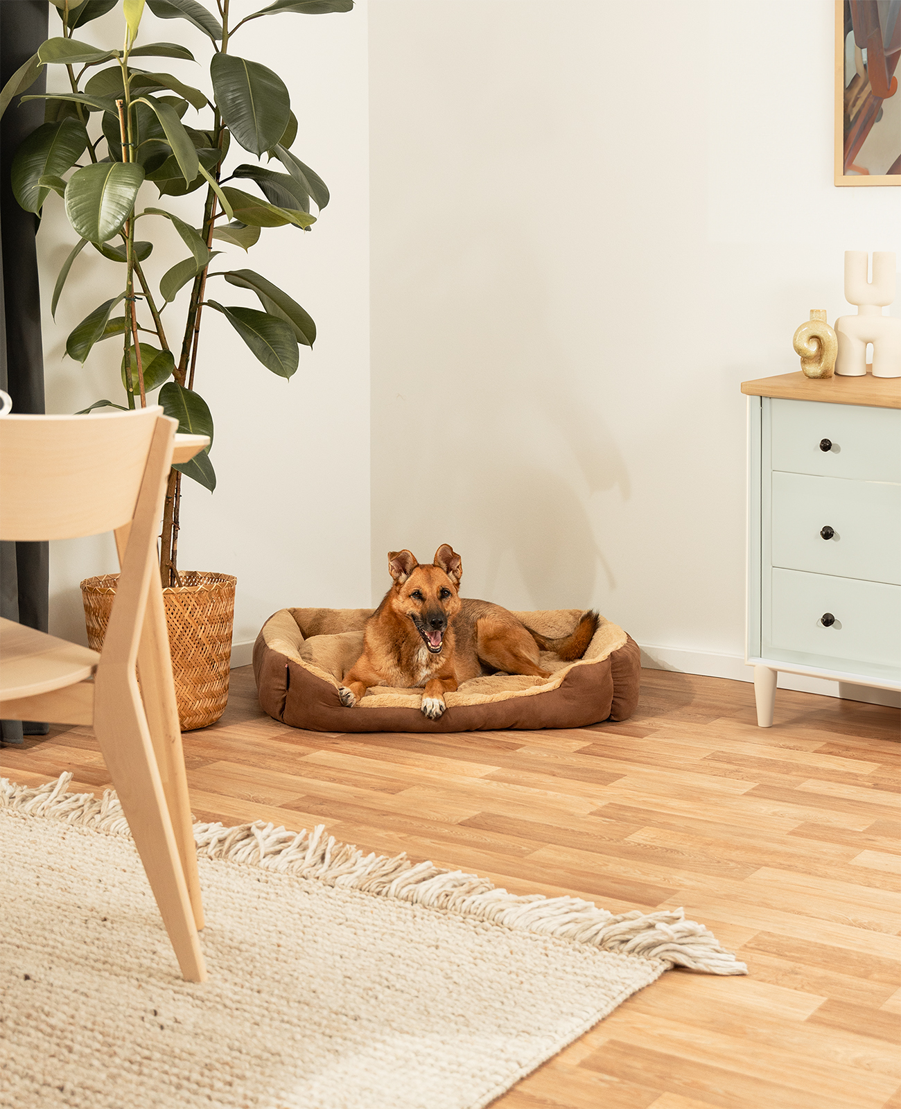 Lionto Hundebetten Lionto Hundebett mit Wendekissen braun XL