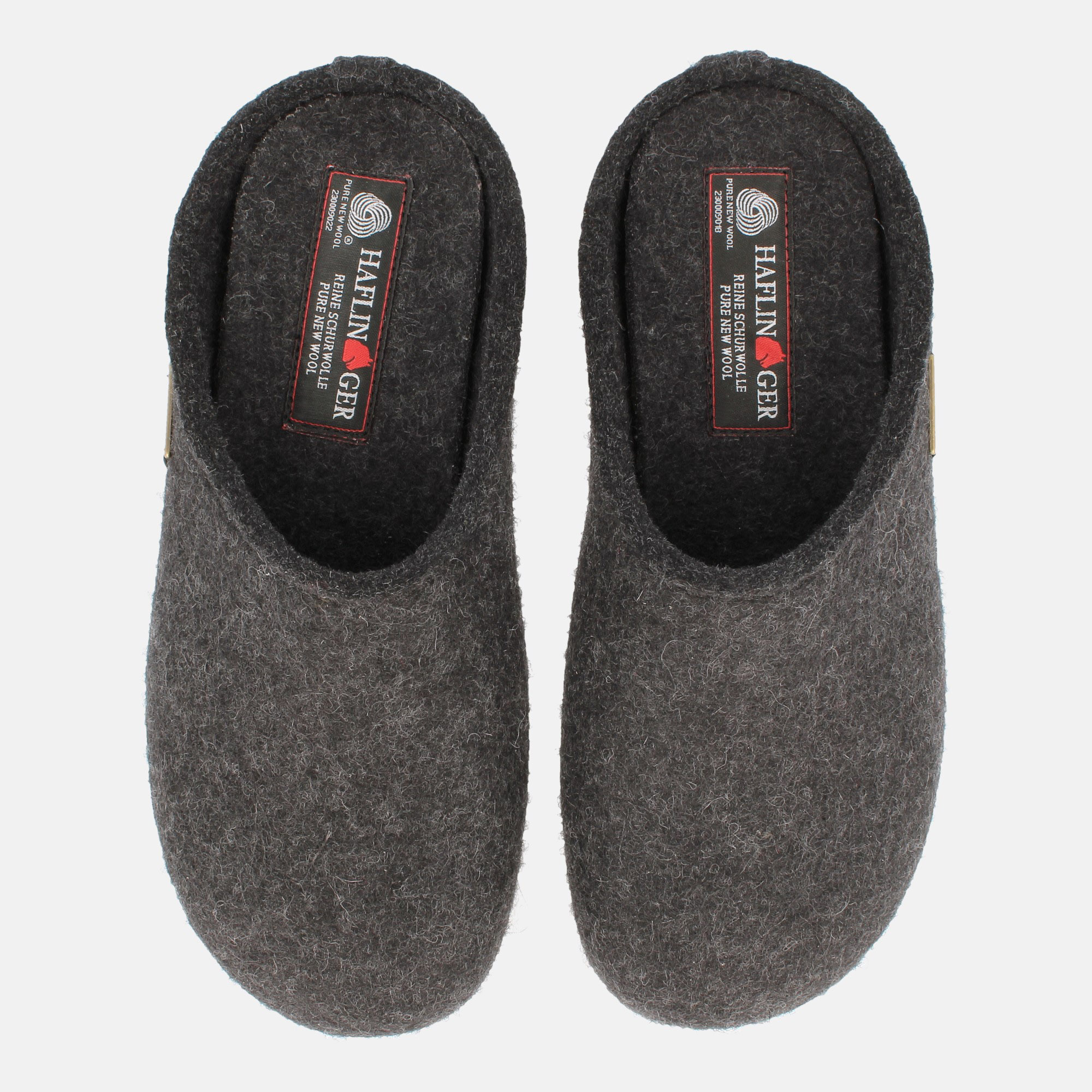 Everest Fundus