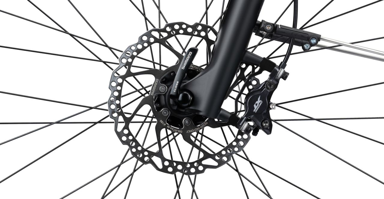 Radon Sunset 10.0 kaufen | Bike-Discount