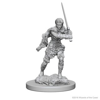 Human Female Babarian: D&D Nolzurs Marvelous Unpainted Minis
