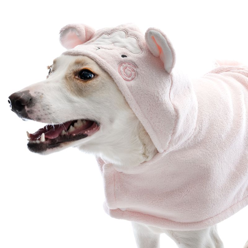 TIAKI Hundebademantel Schaf zu TOP-Preisen