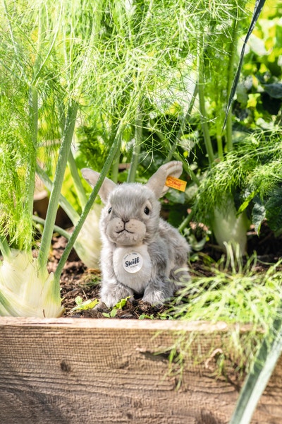 Dormili Hase, 21 cm, hellgrau