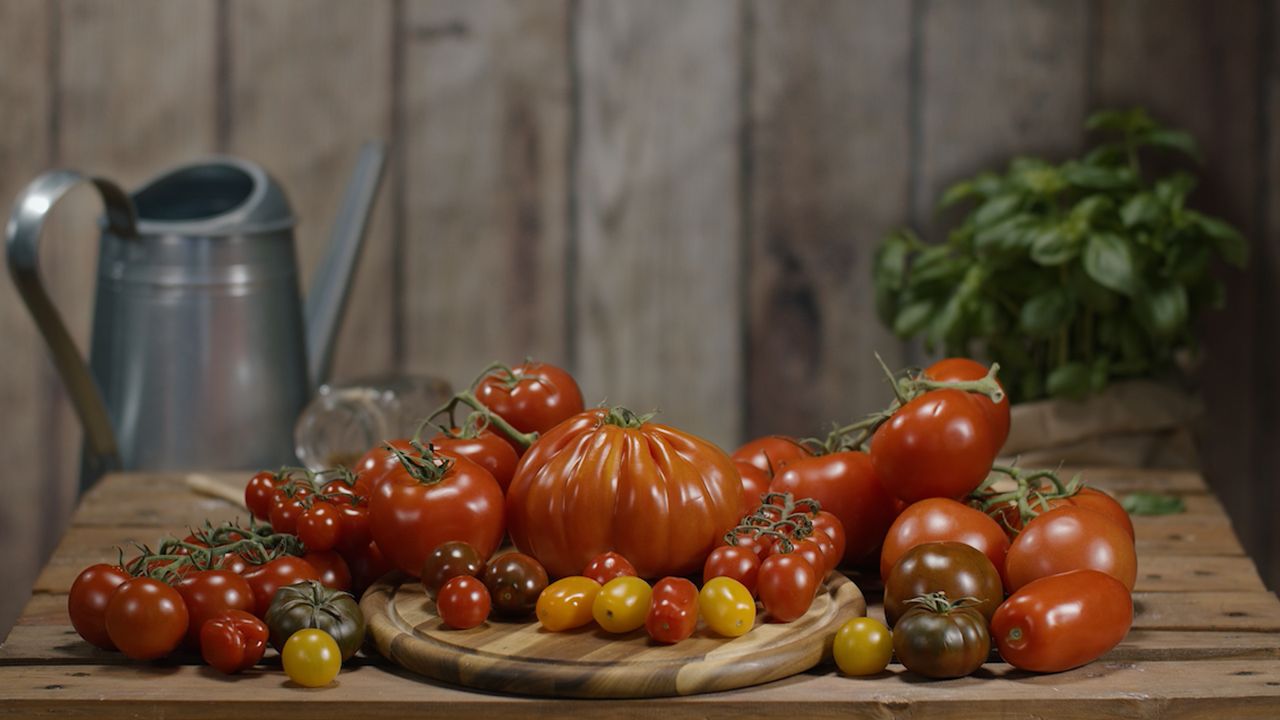 KHW KHW Tomatenhut 2er Set inklusiv Stab und Schutzfolie