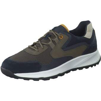 Geox Terrestre B Sneaker in blau