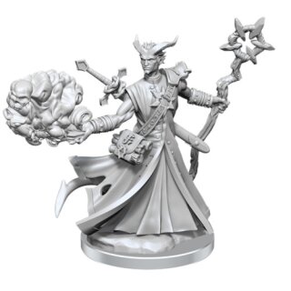 D&D Frameworks: Tiefling Warlock Male