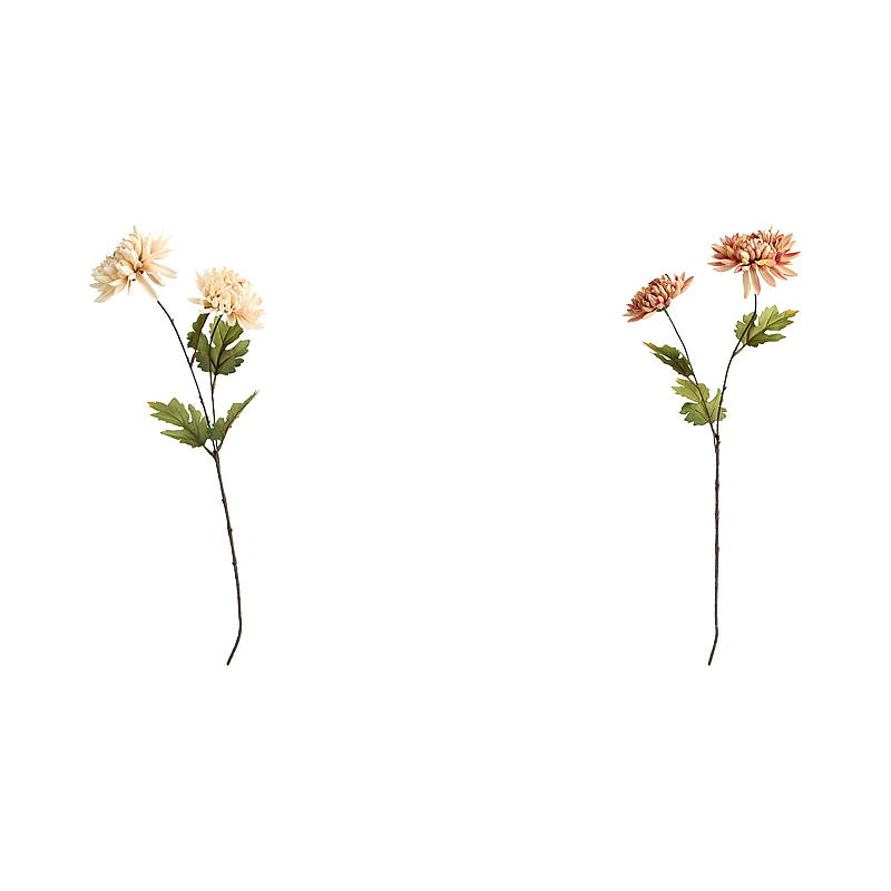 Home Krysantemum 56 cm duo