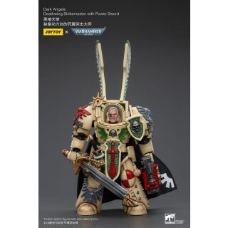 Warhammer 40k Actionfigur: Dark Angels - Deathwing Strikemaster with Power Sword