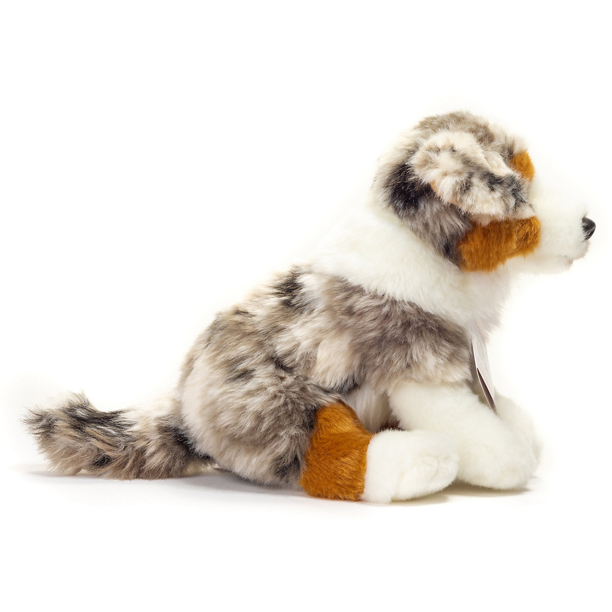 Australian Shepherd Welpe sitzend 22 cm