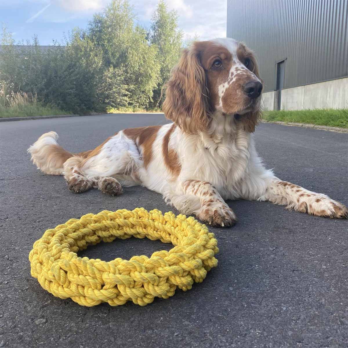 Ebi Bite Me - Da-Chain Tau Ring gelb Ø 18cm kaufen bei ZooRoyal
