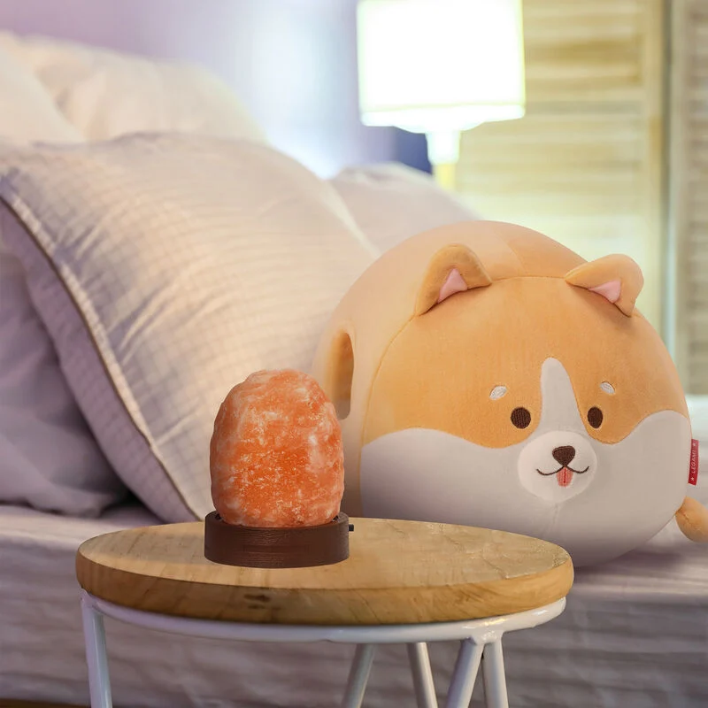 O conjunto inclui almofadas, um Corgi e uma lâmpada de sal do Himalaia.
