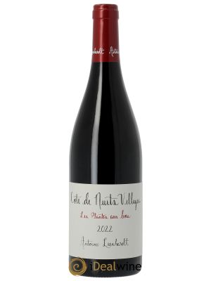 Côte de Nuits-Villages Les Plantes aux bois Antoine Lienhardt  2022 - Lot de 1 Bouteille